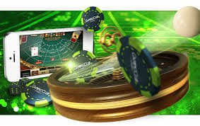 fns229 Live Casino