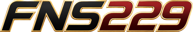 fns229 logo